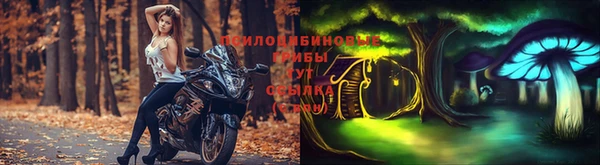 МДПВ Арсеньев
