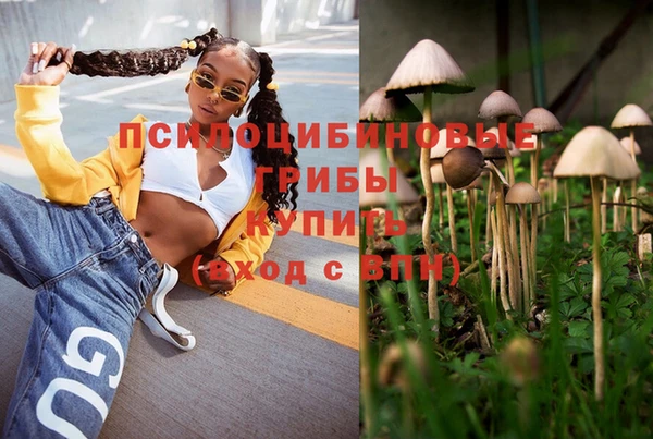 бошки Армянск