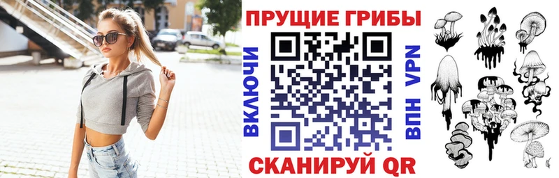 Псилоцибиновые грибы Psilocybe Судак